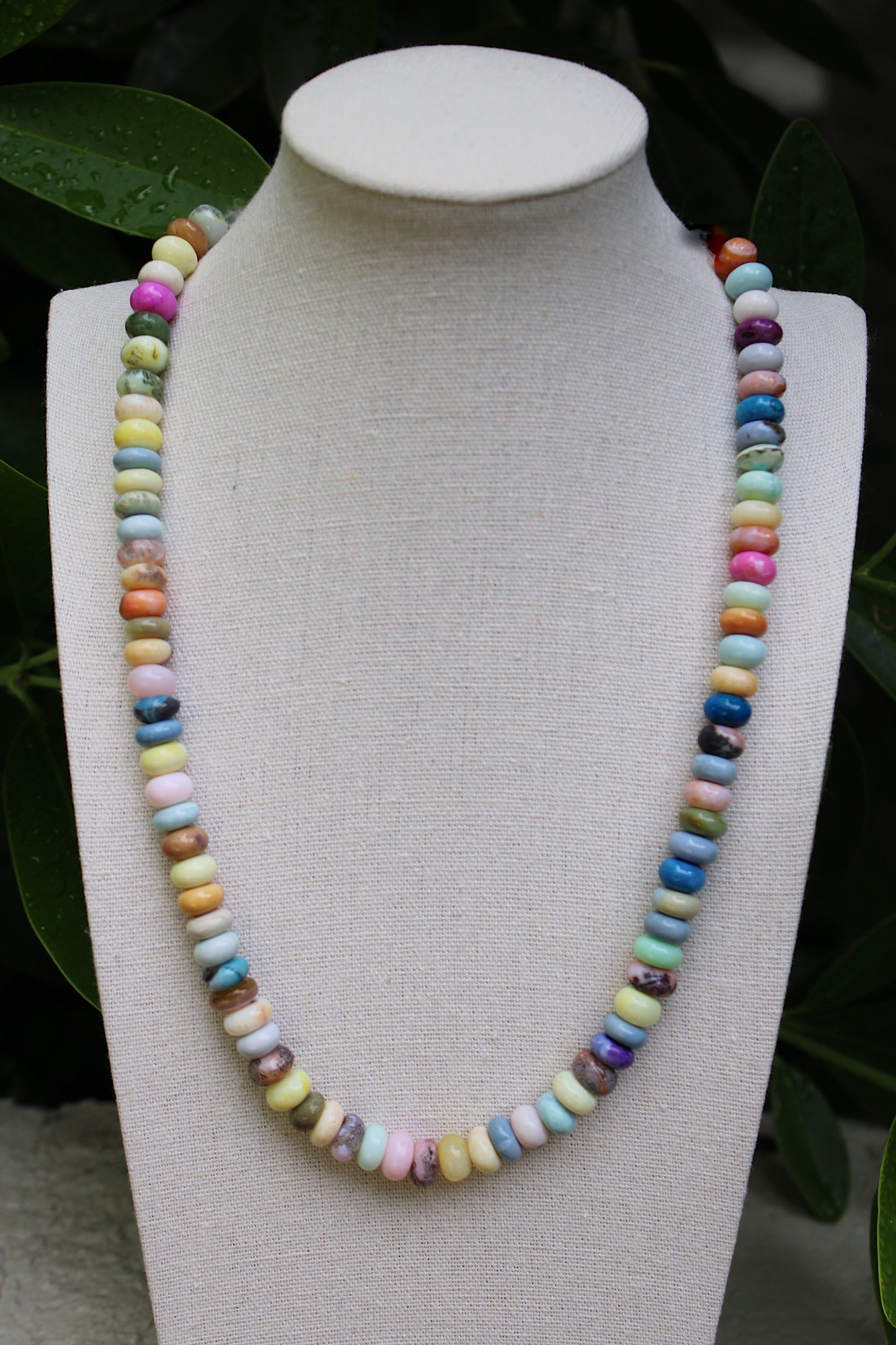 Pastel Rainbow